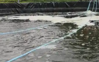 远洋牧场养鱼水质监测系统